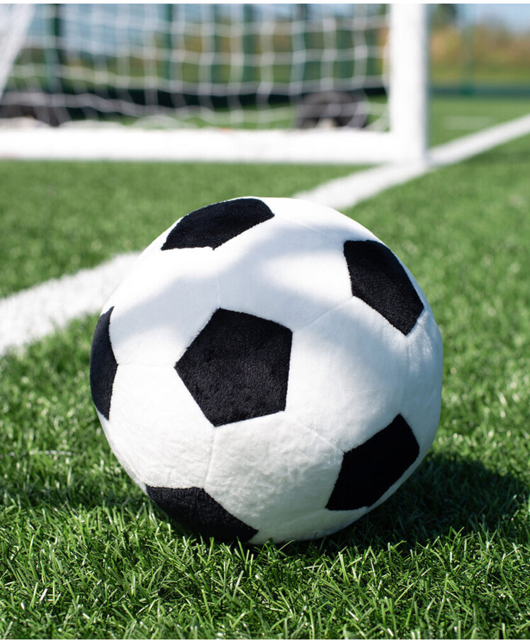 Zippie football Thumbnail