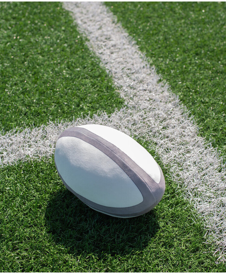 Zippie rugby ball Thumbnail