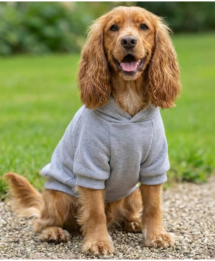Dog’s hoodie Thumbnail