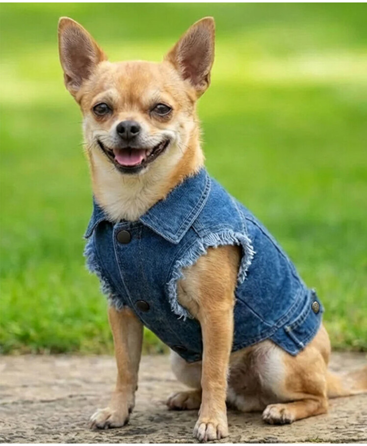 Dog’s denim jacket Thumbnail