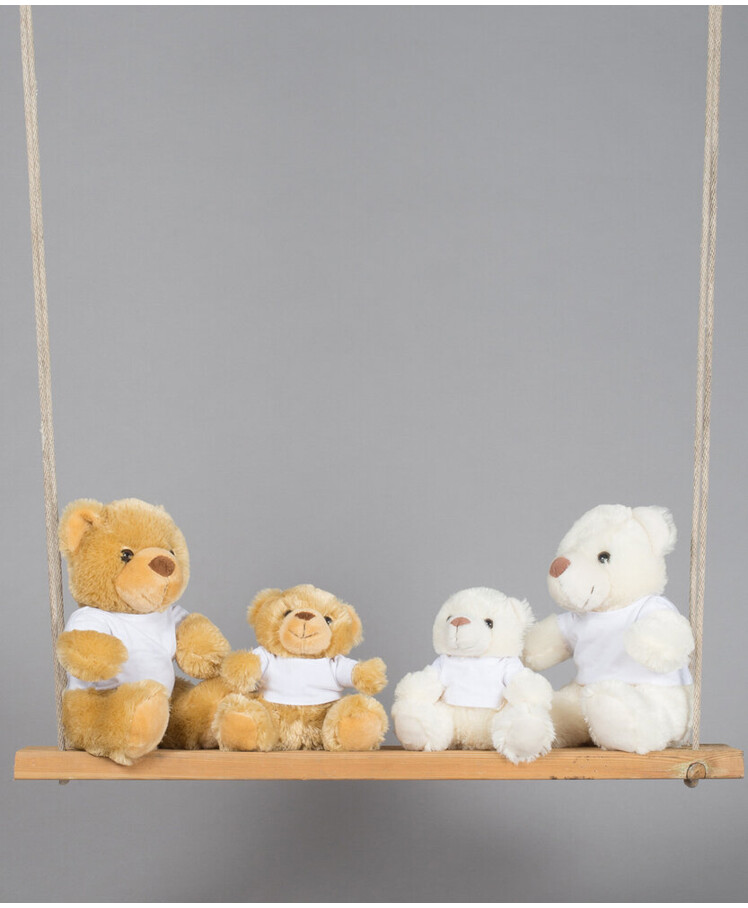 Bear in a t-shirt Thumbnail