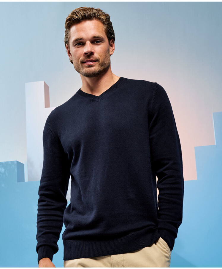 Men's cotton blend v-neck sweater Thumbnail