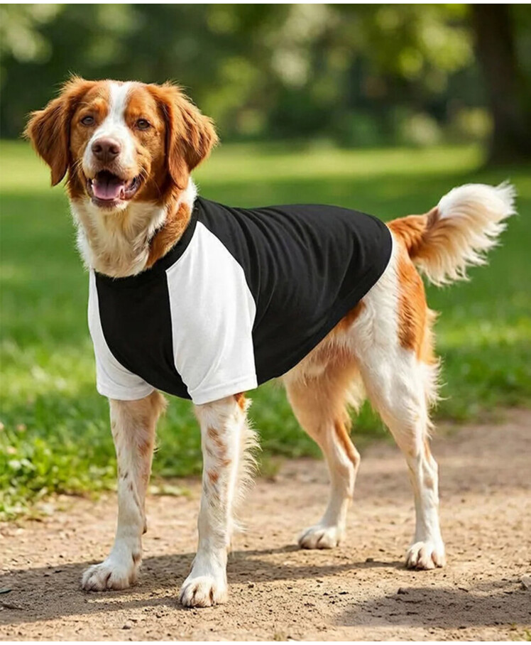 Dog’s raglan t-shirt Thumbnail