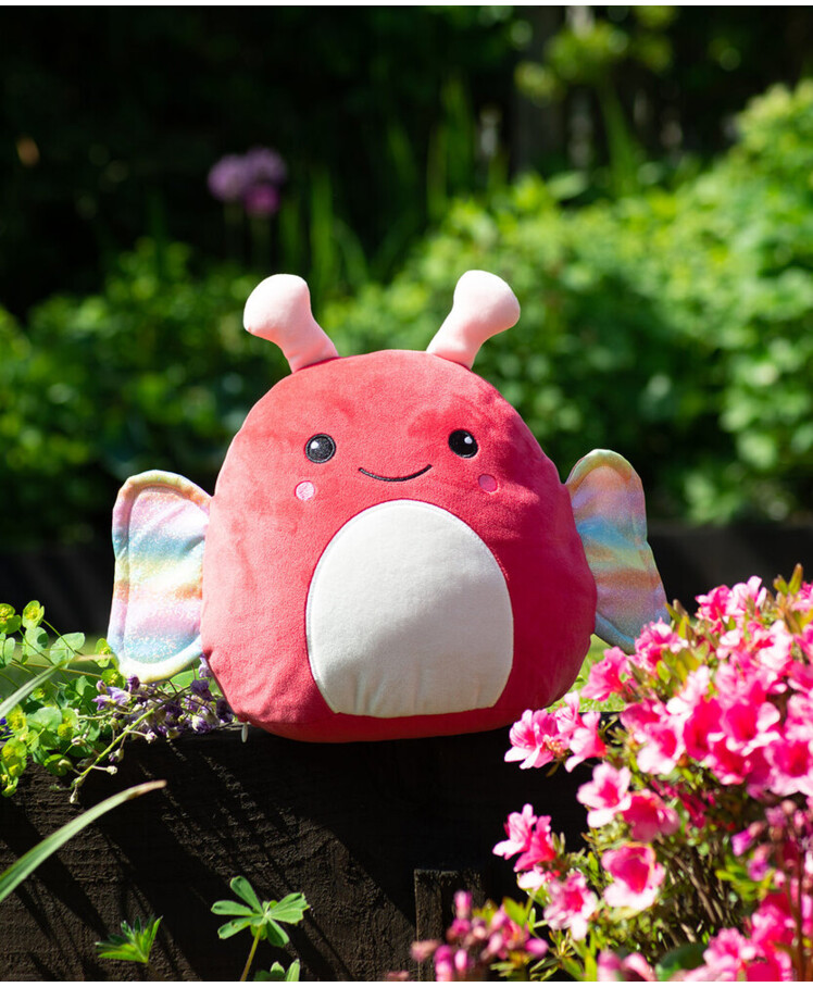 Squidgy’s by Mumbles Thumbnail